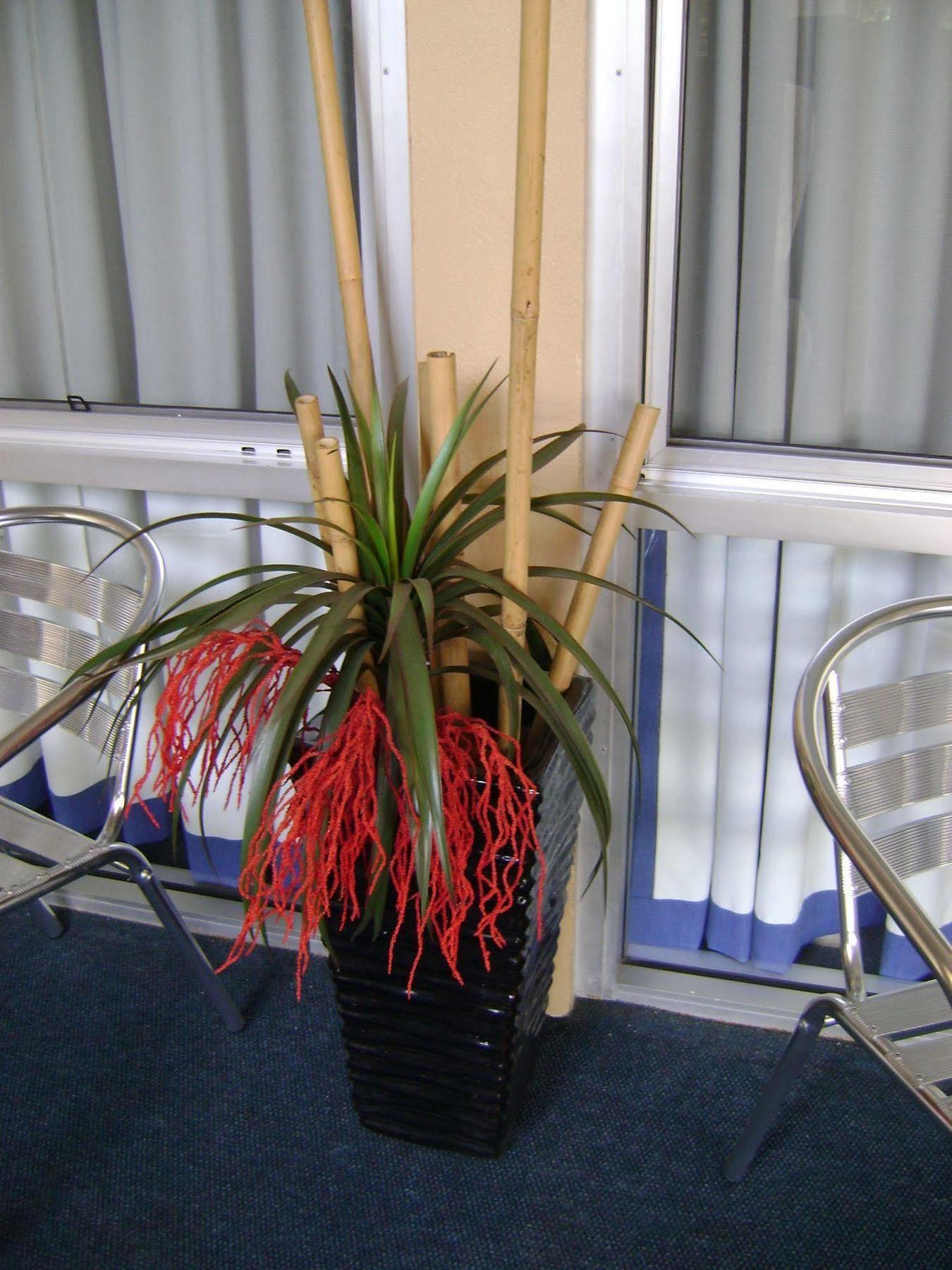 Rockhampton Court Motor Inn ภายนอก รูปภาพ